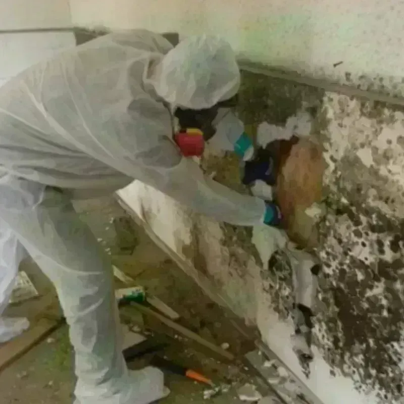 Mold Remediation and Removal in Valencia County, NM